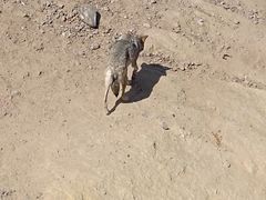 -鄂尔多斯野生动物园