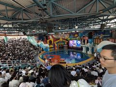 -海合安武汉极地海洋公园