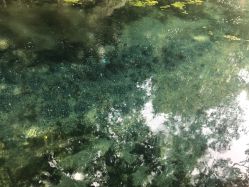 -珍珠泉水上世界