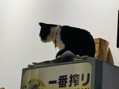 -原田新料理(1912店)