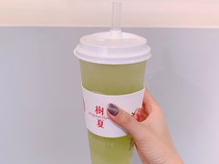 多肉绿葡萄-树夏(建设路店)