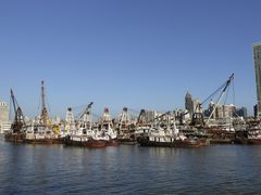 -澳门环岛游湾仔码头