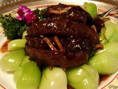 葱烧辽参-鹿鸣春饭店(总店)