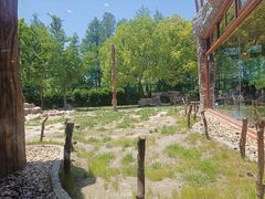 -上海野生动物园老虎餐厅