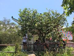 iphone_upload_pic-南丫岛