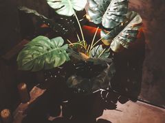 -C&R西班牙餐厅