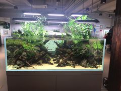 -ADA自然水景世界