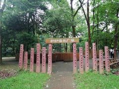 -南宁良凤江国家森林公园