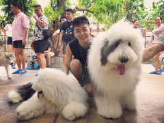 -TrueLove @ Neverland (Husky Cafe)