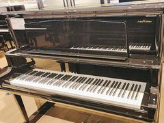 -柏斯音乐艺术中心·钢琴·吉他(世纪金源店)