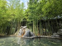 -昆明柏联SPA温泉