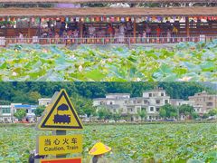 -红山村