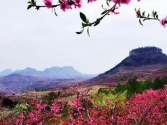 -竹西公园
