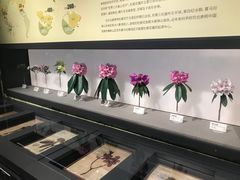 -四川大学博物馆