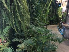 -Ohkajhu Organic Farm Sansai