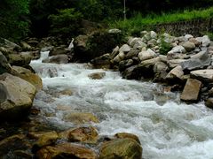 -黑河国家森林公园