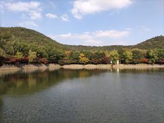 -悦禧耕岛酒店·指月坞餐厅·旺山特色农家乐