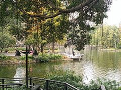 -晓港公园