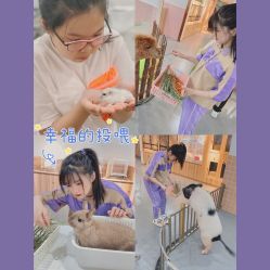 -Moni星球萌宠·小马宝莉·灵蛇·高端高阶全萌宠互动体验俱乐部(红豆国际广场店)