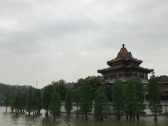 -顺峰山公园