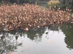 -成都杜甫草堂博物馆