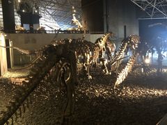 -世界恐龙谷景区