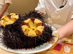 -鲤·鮨KOISUSHI