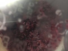 -奈雪的茶(青岛卓悦里INTOWN店)