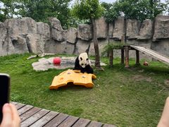 -上海野生动物园