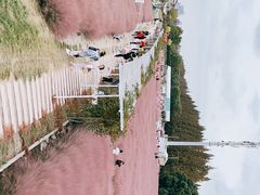 -嘉北郊野公园