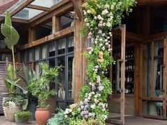 -一棵树·意大利西餐厅One Tree(新城店)
