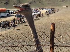 -新疆天山野生动物园