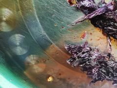 -洪都百货(灵山店)