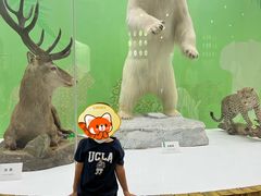 -国家自然博物馆