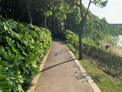 -美兰湖景区