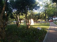 景点-横岗人民公园