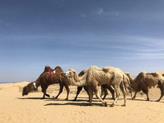-青海湖国家重点风景名胜区