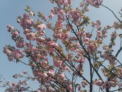 -常德桃花源景区
