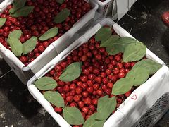 -菜园坝水果市场
