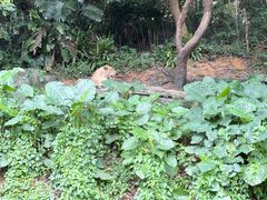 -广州长隆野生动物世界