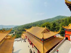 -东莞市大岭山森林公园