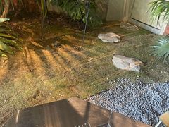 -J Create城市露营咖啡·简餐·宠物(上海动物园店)