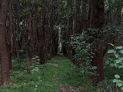 -同里国家湿地公园