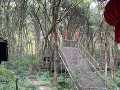 -富春桃源风景区