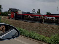 -桤木河湿地公园