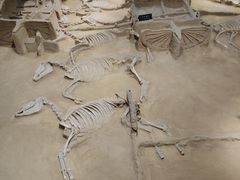 -洛阳周王城天子驾六博物馆