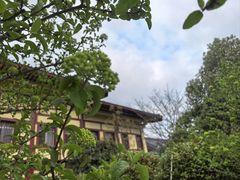 -庐山风景名胜区-东林大佛