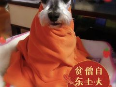 -安安宠医·安宠宠物医院