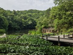 -天目湖山水园