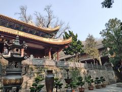 -普陀山风景名胜区-法雨禅寺
